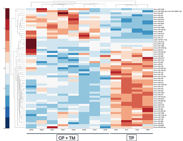 Unsupervised hierarchical clustering of the 59 most abundant and differential miRNAs in studies of type 1 diabetes in NOD mice.