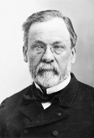 Louis Pasteur. Archives Photographiques, Paris