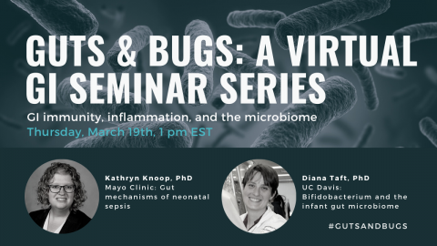 #GutsandBugs: a virtual GI seminar series flyer